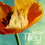 Jesse Tilley