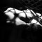 elswervio