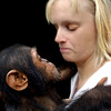 ApeArt