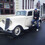 donkey