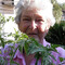 Norma Chalmers