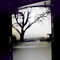 FadePhoto
