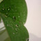 RosePhotography