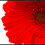 BarnardImages