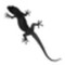 Gecko3D