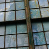 eelsblueEllen