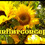 Sunflwrconcepts