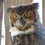 Birds of Prey (Group Profile)