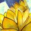 Coconut5656