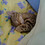 benerrol