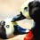 lcbirder
