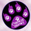 cybercat