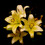 OneDayOneImage
