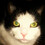 katpix
