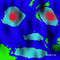 BodiesArt