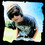 Joshua  Easterly