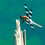 eaglewatcher
