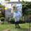 daisiesgarden