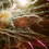 solarlight