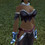Dragoncat63