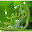 shararat