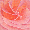 BasleeArtPrints