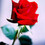 RedRose1