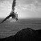 Erwan Bourcy