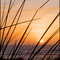 BS6 Photography