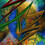ShellySays