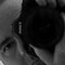 Doug Chinnery