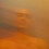 mikeyartscape