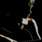 Jason  Barty