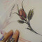 eirn kate tattoo