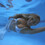 aquamotion