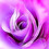 liaimages