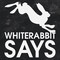whiterabbitsays