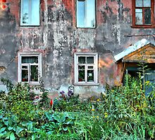 abandoned house by Medeu