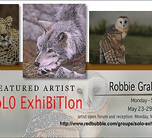 Robbie Graham, Solo Exhibition Banner by solo-exhibition