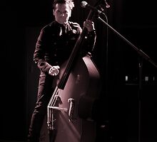 Double Bass by Ricky Pfeiffer