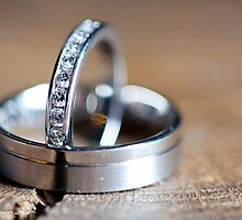 Wedding rings on wooden log by deeorgan