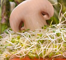 Fun Vegetable Landscape 3 by Orla Cahill Photography