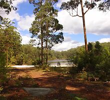 The dam in the forest by georgieboy98