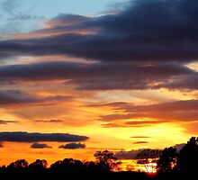Fabulous colourful rich Sunset , Coniscliffe Grange, 9th May 2011, by Ian Alex Blease