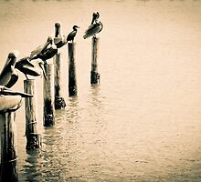One of these things by ryanthomas