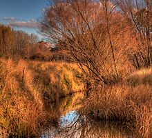 Watercolours - Somewhere near Oberon NSW Australia - The HDR Experience by Philip Johnson