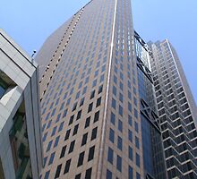 World Class Architecture by Robert Buehner
