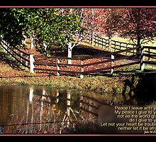 ~ Let not your heart be troubled ~ by Donna Keevers Driver