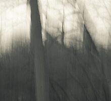 Vagary by Mitch Labuda