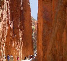 Standley Chasm near Alice Springs, Northern Territory, Australia by Adrian Paul